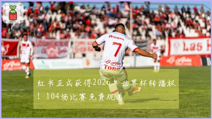 红书正式获得2026年世界杯转播权！104场比赛免费观看